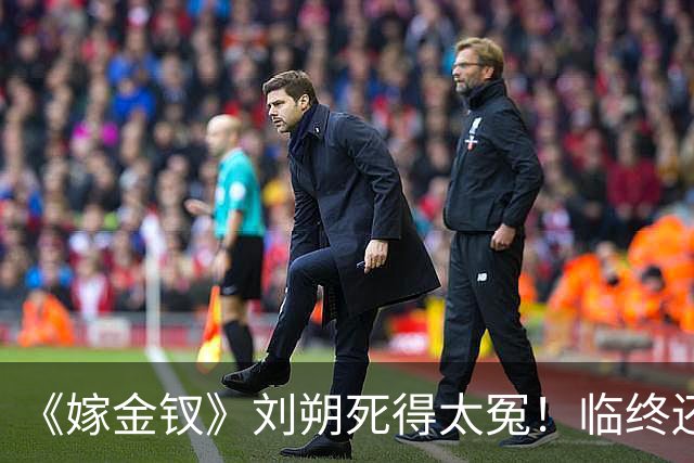 《嫁金钗》刘朔死得太冤!临终还在替魏饶铺路,才懂他骗了所有人